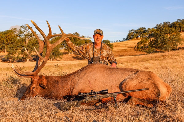 2021 Rocky Mountain Elk PLM Bull Shasta County California